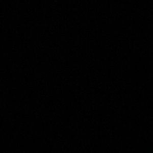 Meet your Posher, Reyna